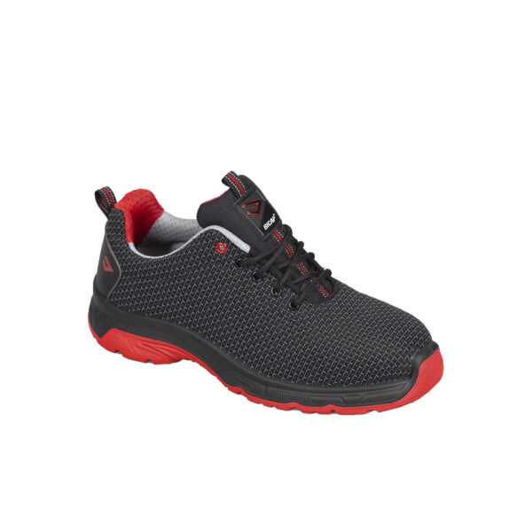 Jdarmy-mpotaki-asfaleias-BICAP-RAPTOR-S3-SRC-ergo-011113432344